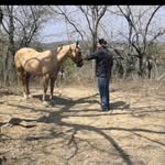 Ivan Najera - @ivan.najera - Instagram