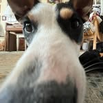 Ivan Newman - @ivan.newmun - Instagram