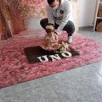 Ivan Orellana - @orellana.ivan_ - Instagram