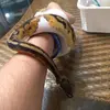 Ivan Orellana - @ivan.orellana33 - TikTok