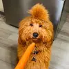 Ivanpacheco - @ivanpacheco1984 - TikTok