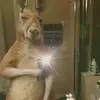 Ivan Dueñez - @ivan2pack - TikTok