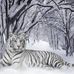 Ivan Pack - Facebook