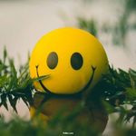Iván Palafox - @ivan_palafox07 - Instagram
