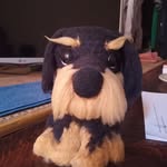 Iván Palafox - @palafox1598 - Instagram
