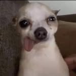 Ivan__palomo - @ivan__palomo - Instagram