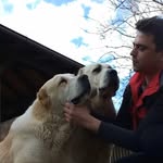 Ivan Pantović - @ivanpantovic1982 - Instagram