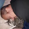 Ivan Paul - @ivan.paul22 - TikTok