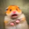ivan Pilipenko - @ivanpilipenko4 - TikTok