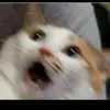 Ivan Pinzon - @ivan.pinzon62 - TikTok