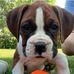 Ivan Pratt - Facebook