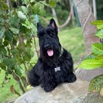 Iván Proaño Proaño - @elgato1587 - Instagram