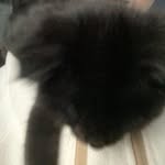 Ivan Prokopenko - @300iq_geniy - Instagram
