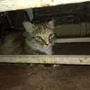 Ivan Puentes - @ivan.puentes55 - TikTok