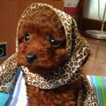 ivan Q - @ivan_qiu - Instagram