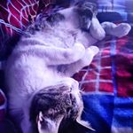Ivan Qiu - @ivan_qiu_ - Instagram