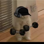Iván Quevedo - @ivan_quevedo11 - Instagram