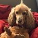 Ivan Quickenborne - Facebook