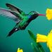 Carlos Ivan Quinde Pintado - Facebook