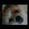 ivanrae - @jonaskyleivanraeb - TikTok