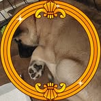 Ivan Bear Rauch - Facebook