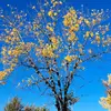 Ivan Raymond - @ivan.raymond - TikTok