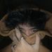 Ivan Reston - Facebook