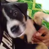 @ ivanrey - @.ivanrey - TikTok