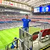 Ivan Rey - @ivanrey19 - TikTok