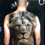 @ivanreynoso_10 - Instagram