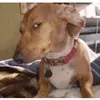 Ivan Reyes - @ivan.reyes344 - TikTok