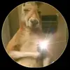 Ivan Reyes - @ivan.reyes560 - TikTok