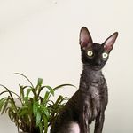 Mohandes Ivanreza - @mohandes_ivanreza - Instagram