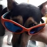 ivan - @ivan_rhea2009 - Instagram