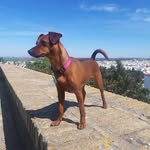 ivan aragon robles - @ivan_robles97 - Instagram