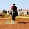 Ivan Robles - @ivanrobles97 - TikTok