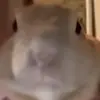 MexicanNiner_fan - @ivanrobles385 - TikTok
