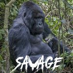 Ivan Rodgers - @ivan.rodgers.90 - Instagram