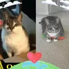 Ivan Schoen - @2182002343 - TikTok
