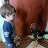 Ivan Simon - @ivan.simon7 - TikTok