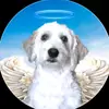 Ivan Solano - @ivan.solano37 - TikTok