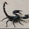 Ivan Solano - @ivan.solano71 - TikTok