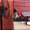 Ivan Soltero Ruisanchez - @ivansolteroruisan - TikTok