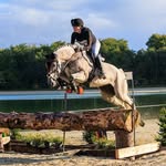Van der Steen Stables - @vdsstables - Instagram