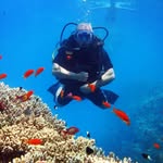 Ivan Stepanov - @stepanovvanya - Instagram