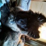 Ivan Stevens - @ivan.stevens.319 - Instagram
