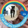IvansImages - @ivanstevens - TikTok