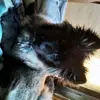 ivanstevens842 - @ivanstevens842 - TikTok