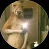 Ivan Suarez - @ivan.suarez965 - TikTok
