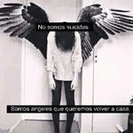 ivan _ tejeda61 - @ivan_tejeda_castillo - Instagram